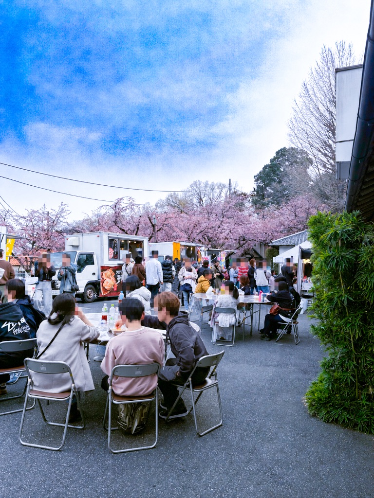 キッチンカーと桜
